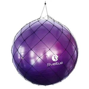 BALLON PEDAGOGIQUE  DIAMETRE 25CM