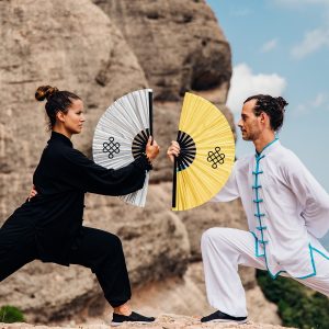 Eventail de TAI CHI ( 40237 )