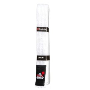 Ceinture blanche (15010W)