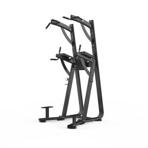 Chin Dip Leg Raise Station – SHUA