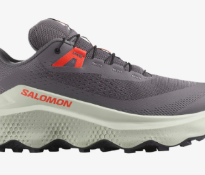 SALOMON ULTRA GLIDE 3 Excalibur / Icicle / Neon Flame