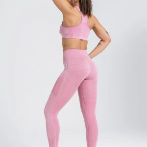 Gymwolves Women Seamles Sport Leggings | Energy Series | Rose