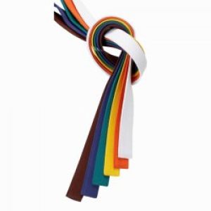 Ceinture couleur JUDO (ROULCOUP1)